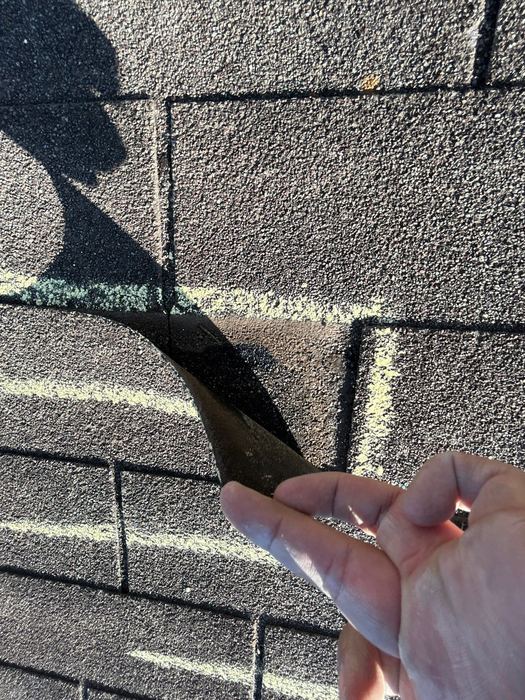 Hail-damaged asphalt shingle lifted by hand to reveal the bruising and granule loss underneath